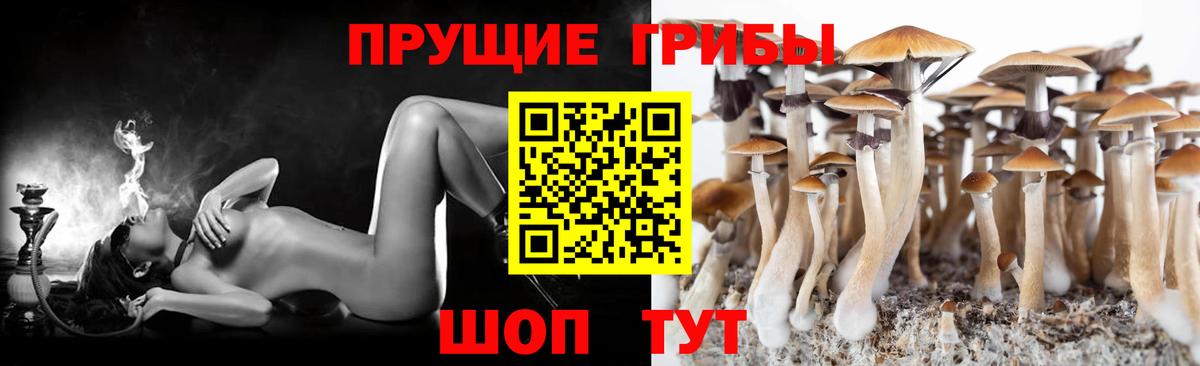 Псилоцибиновые грибы GOLDEN TEACHER  Галлюциногенные грибы ЛСД  Киреевск  Вход с VPN 